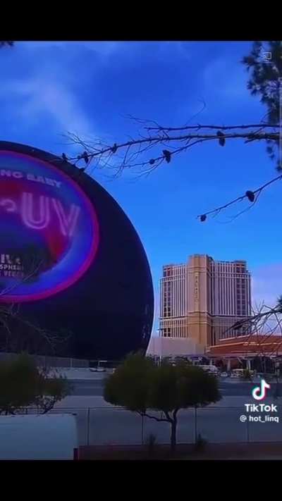 making a scene in Vegas...no surprises there