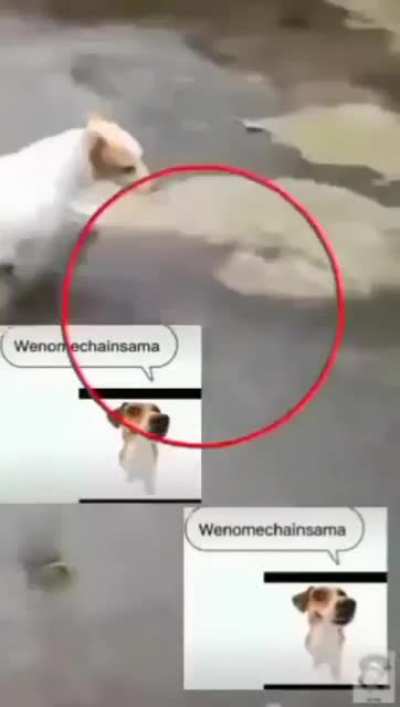 Omg its