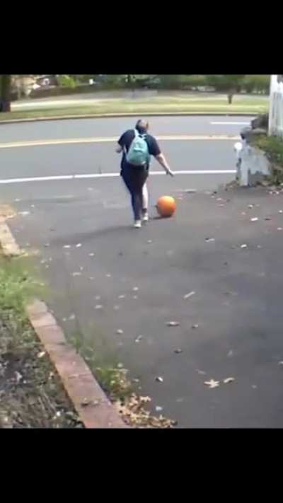 Good bye human