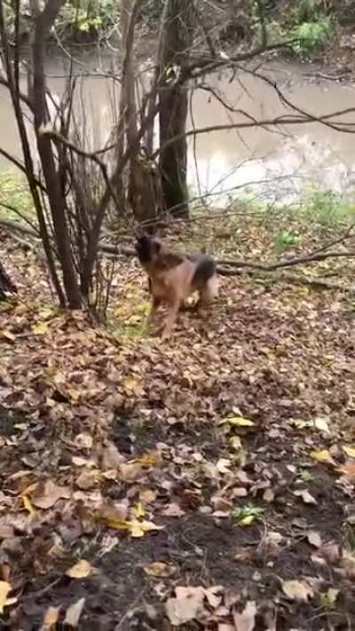 Come. On. Branch. I. Want. You. Now.