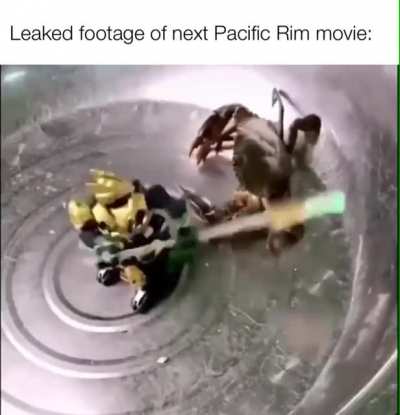 The ultimate fight