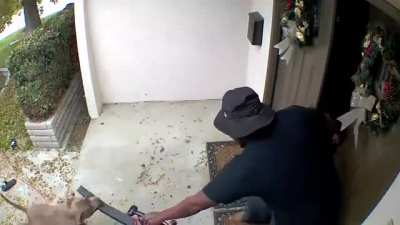 Gardner uses a leaf-blower to escape a 2 pitbull attack