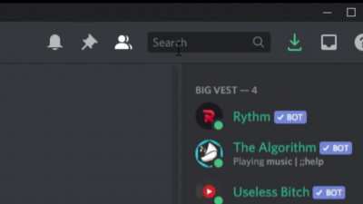 discord so holesum :)