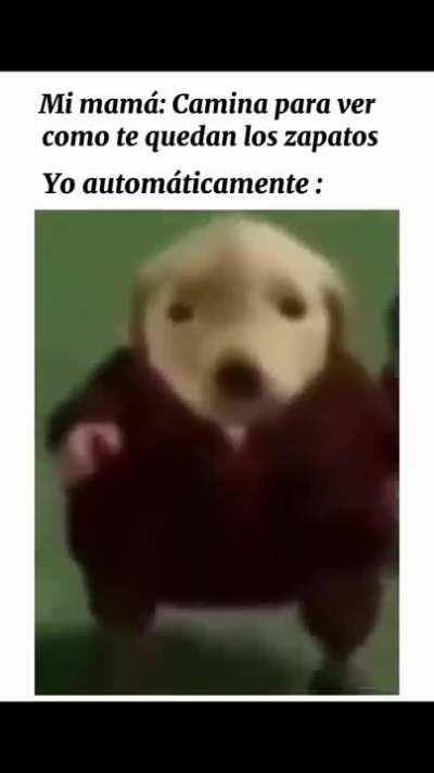 Si soy