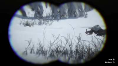 RDR2 x National Geographic