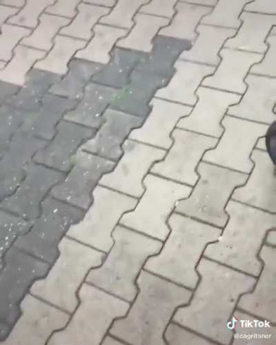 Just some dude slipping on an escooter
