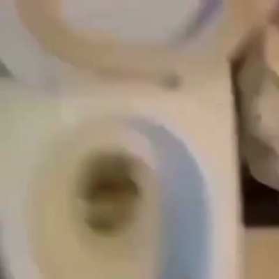 Boiii