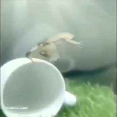 Rule post