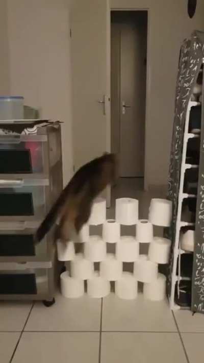 Persistence?