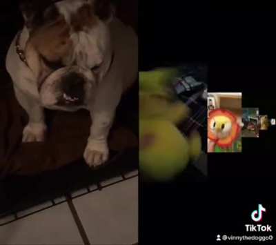 this isnt cringe but im just posting it here cuz i cant find a tiktok subreddit