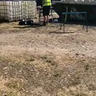 Guy narrates colleagues like Attenborough