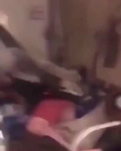 RoundHouse Kick