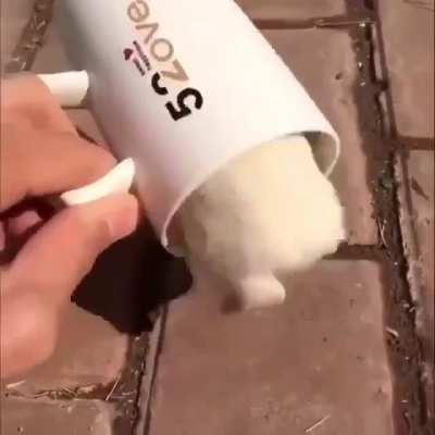 My coffee is broken