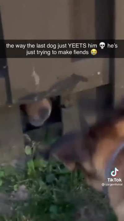 Hopefully this one wasn't posted yet 🐕