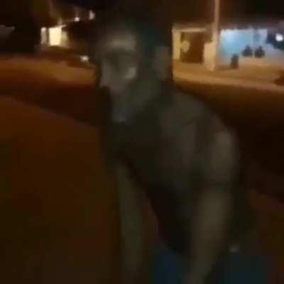 O vap vap é do diabo
