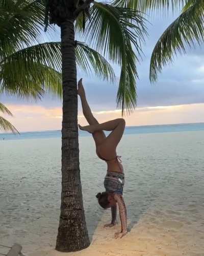 Palm tree booty