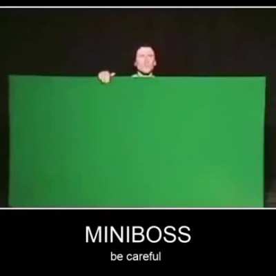 MiniBoss