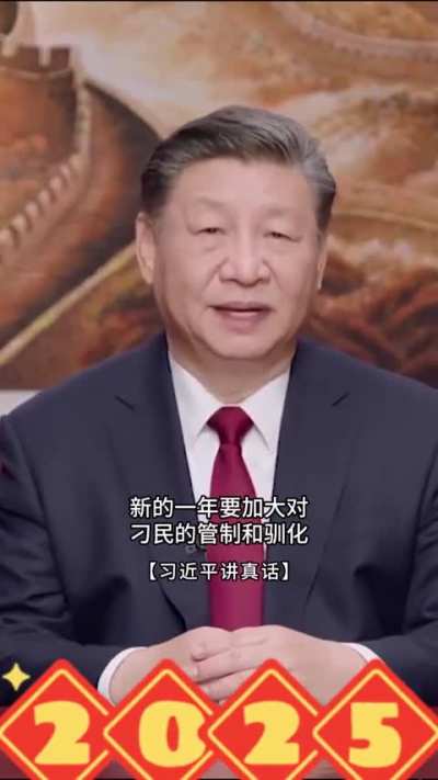 习主席新年<wbr>贺词真话版<wbr>（3）