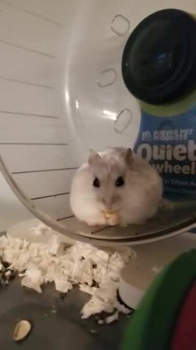 so heckin round