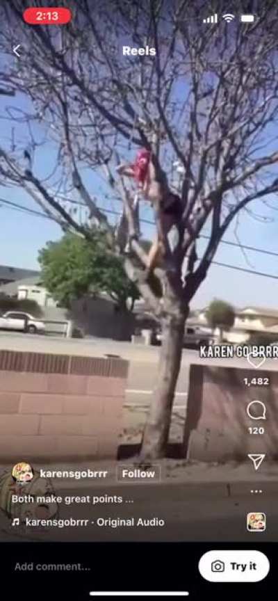 Maybe her booty was itchy?