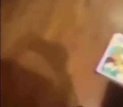 Dogs can’t eat jellybeans