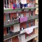 Italy vs Germany