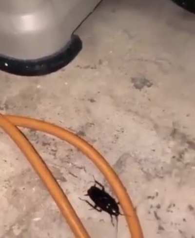 An unlikely friendship