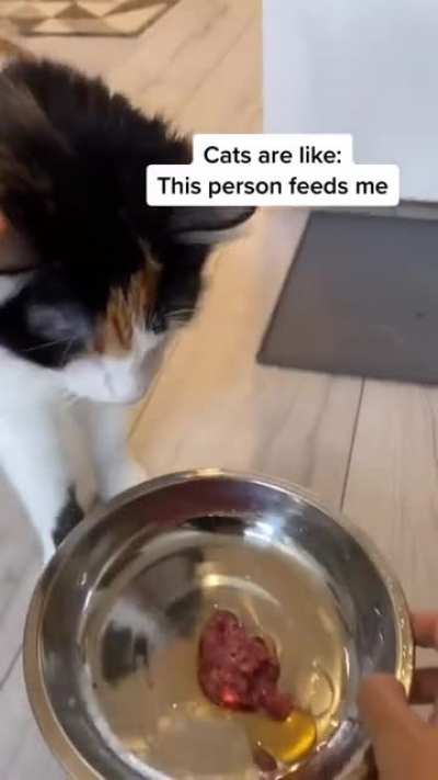 me_irl