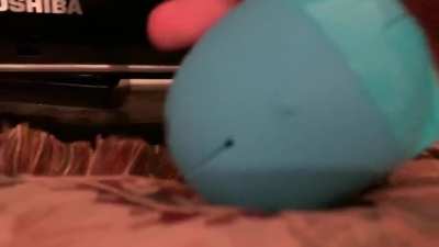 his name is bewple