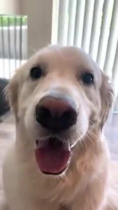 Are you a good boy?