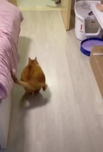 He’s a coming