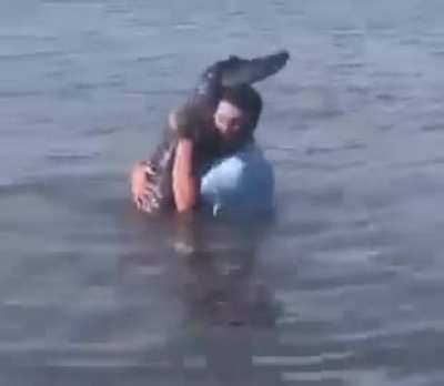Normal Russian