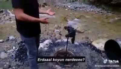 Another way to cook sheep