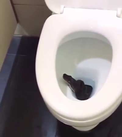 Ummm......