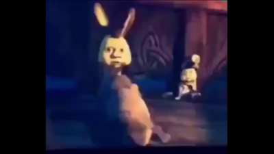 DONKEY WHAT THE FUU