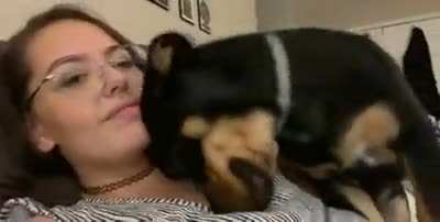 Dog meets girl