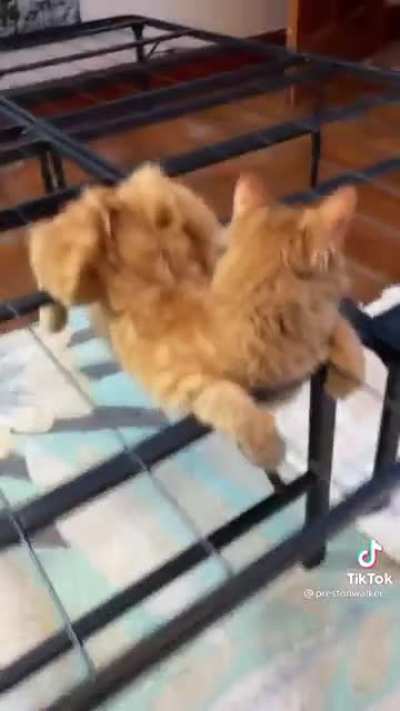 Hey, it’s comfy to me