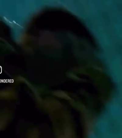 Navy Seal reveals how he sees underwater without goggles