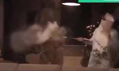 Avada kadavblyat!
