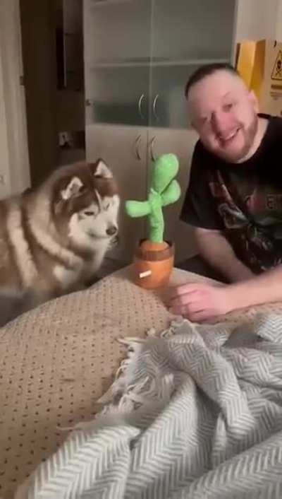 I wonder what's going through his mind
