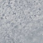 Snow rabbit runs over an avalanche to safety.