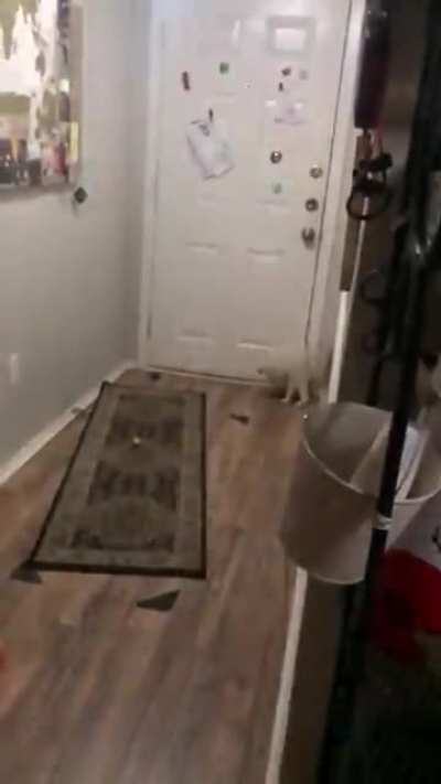 Wait for it...