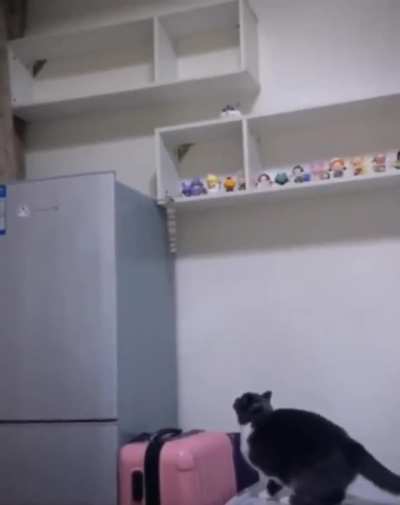 An attempt was made