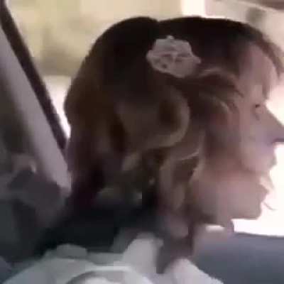accidents are preventable sometimes