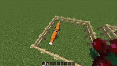 Fox breeding...