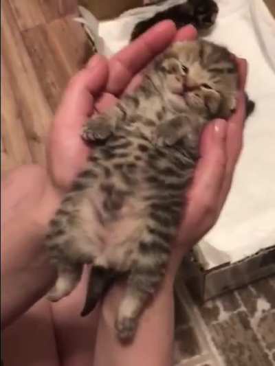 Okay. Good night, sleep tight, don't let the bed bugs bite😍