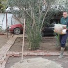 Outdoor Cooking with Burak