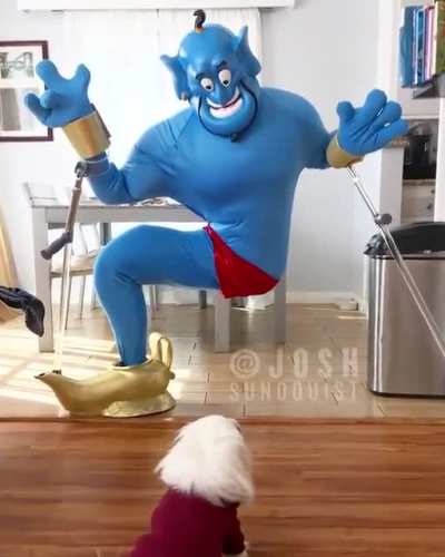 Funny Guy