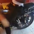 Ghost Rider