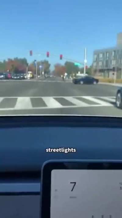 Tesla Vision